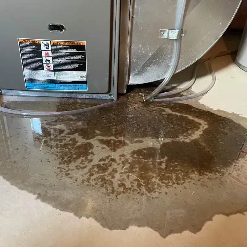 Appliance Leak Cleanup in Saint Lucie County, FL